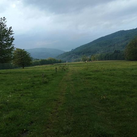 Domek W Gorach Sowich Pieszyce Exteriér fotografie