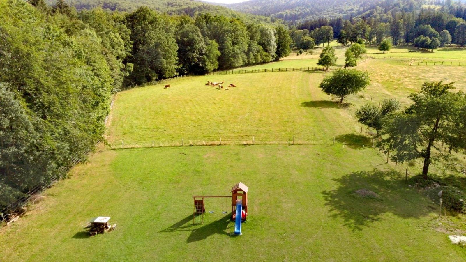 Domek W Gorach Sowich Pieszyce Exteriér fotografie
