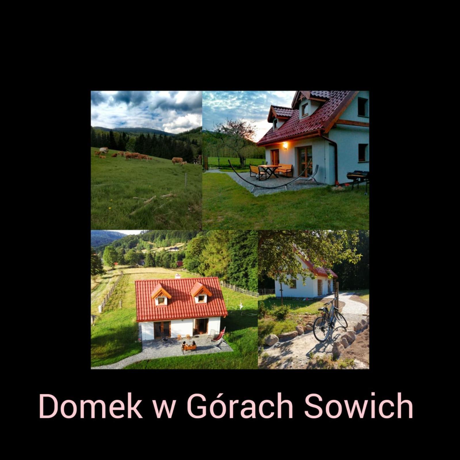 Domek W Gorach Sowich Pieszyce Exteriér fotografie