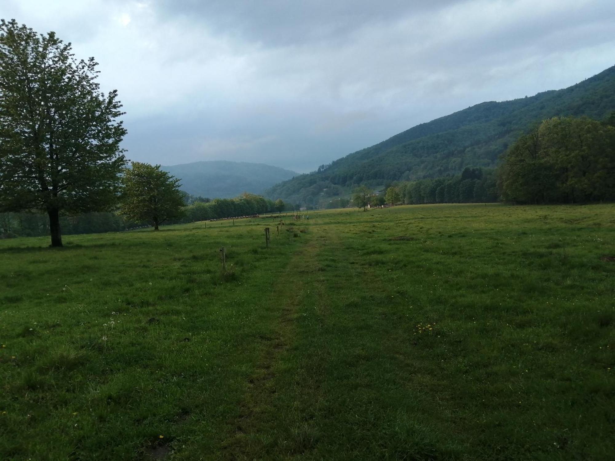 Domek W Gorach Sowich Pieszyce Exteriér fotografie