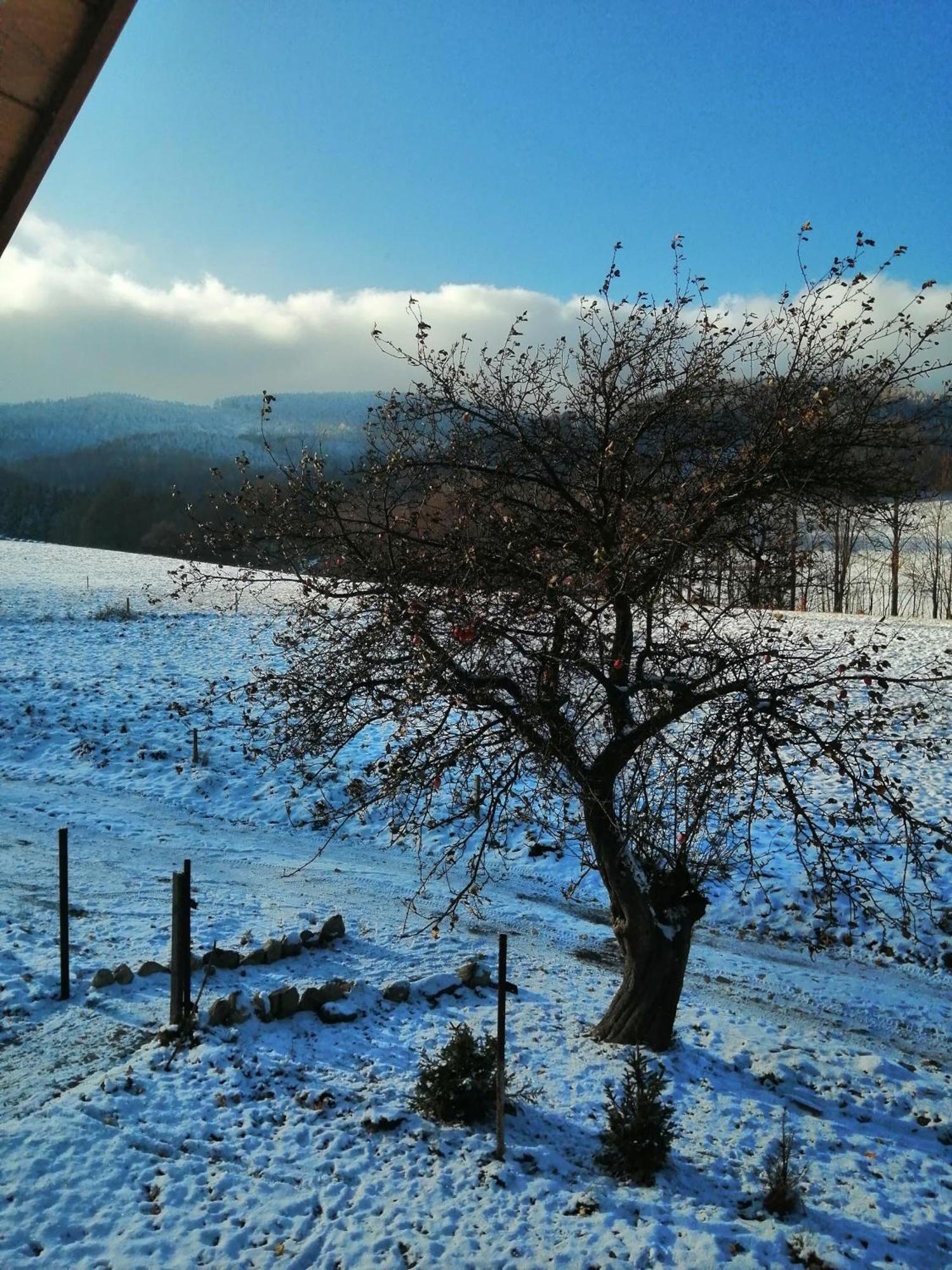 Domek W Gorach Sowich Pieszyce Exteriér fotografie